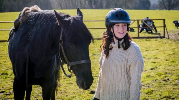 HorseStory.jpg